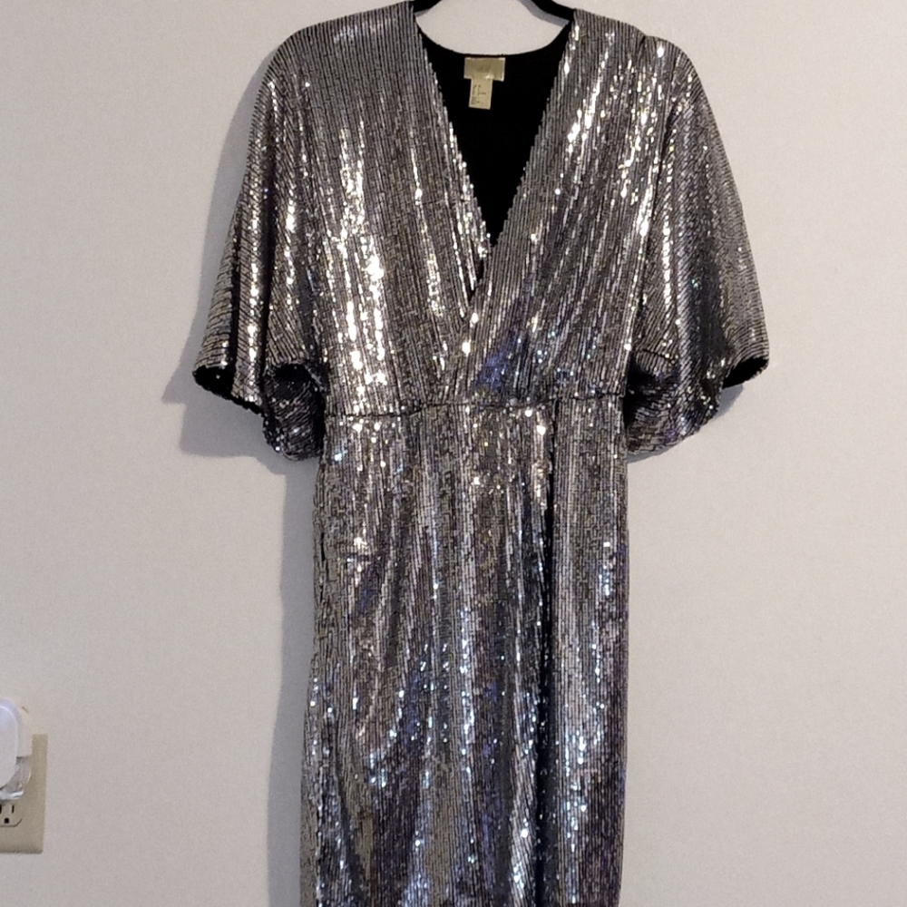 H&M Silver Sequin Midi Dress.
